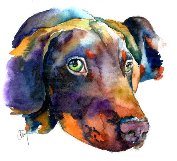 600x544 Doberman Watercolor Greeting Card For Sale By Christy Freeman