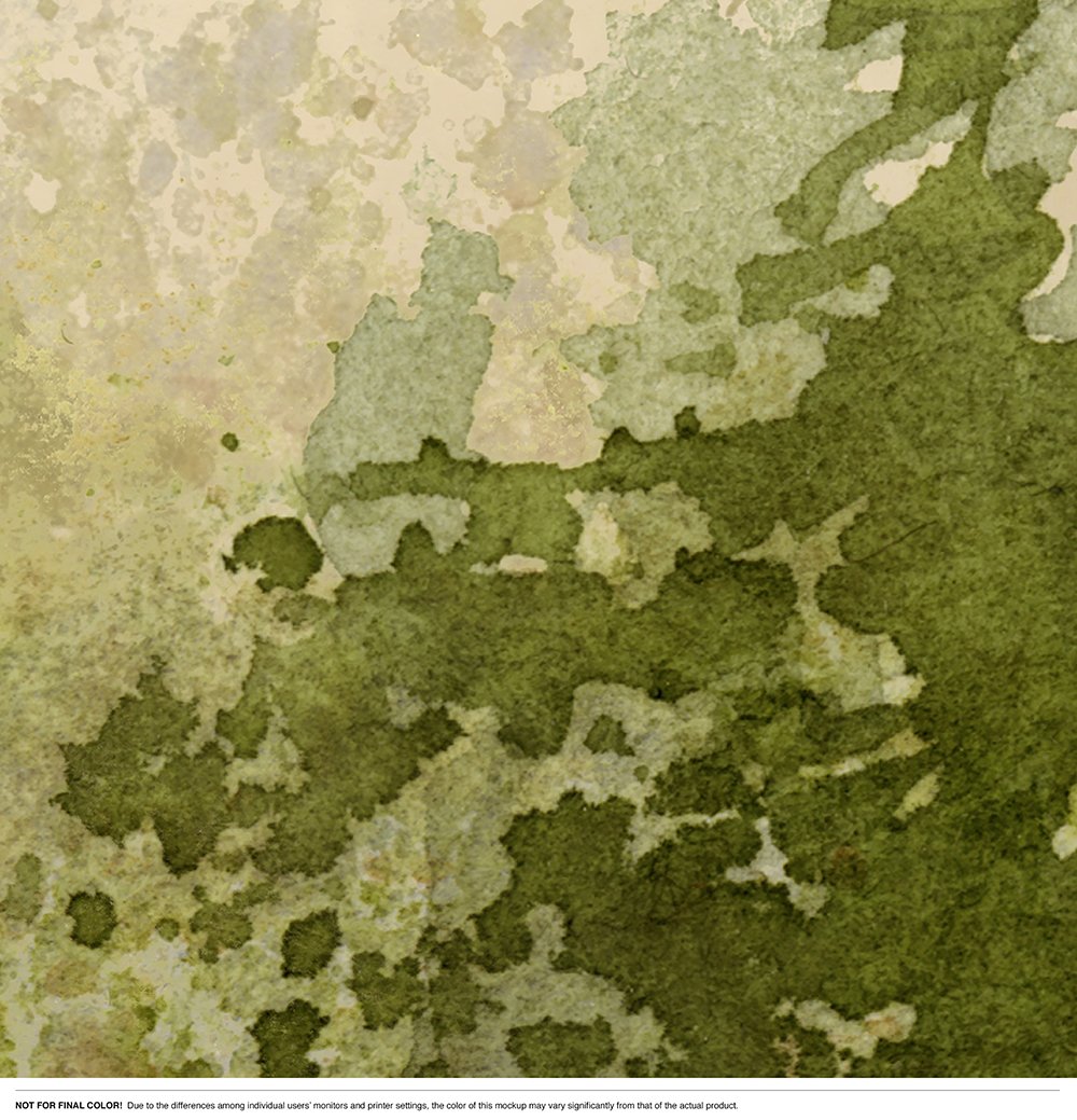 1000x1039 Watercolor Forest