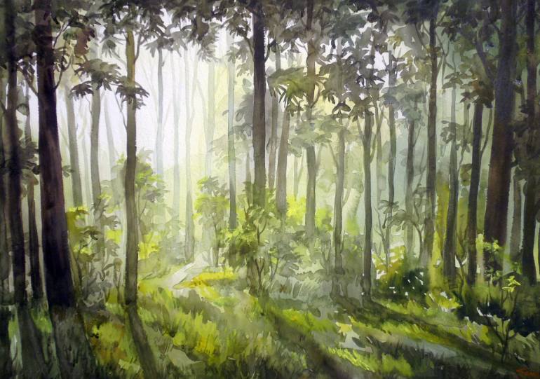 770x541 Early Morning Light Inside A Forest Watercolor On Paper Painting