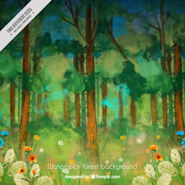 626x626 Watercolor Forest With Flowers Vector Free Download