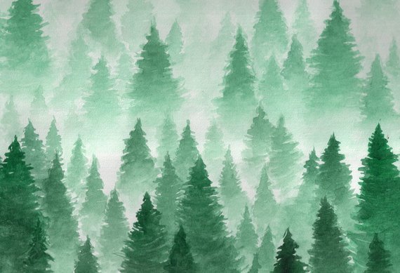 570x389 Winter Watercolor Forest Vinyl Photography Backdrop Christmas Etsy