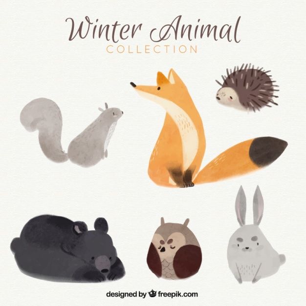 626x626 Pretty Fox With Other Watercolor Forest Animals Free Vector