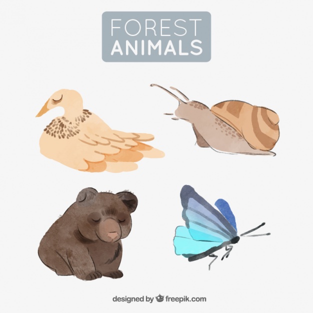 626x626 Set Of Watercolor Forest Animals Vector Free Download