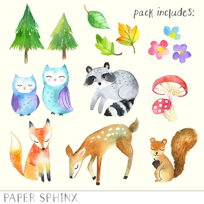 700x700 Watercolor Woodland Animals Clipart Forest Animals Clip Art