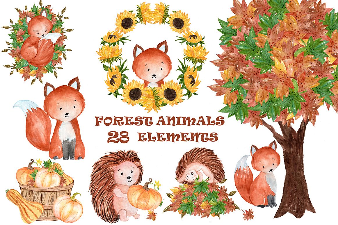 1162x774 Watercolor Forest Animals Clipart