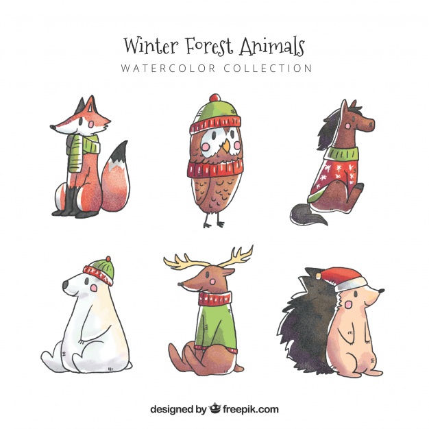 626x626 Watercolor Forest Animals Set Stock Images