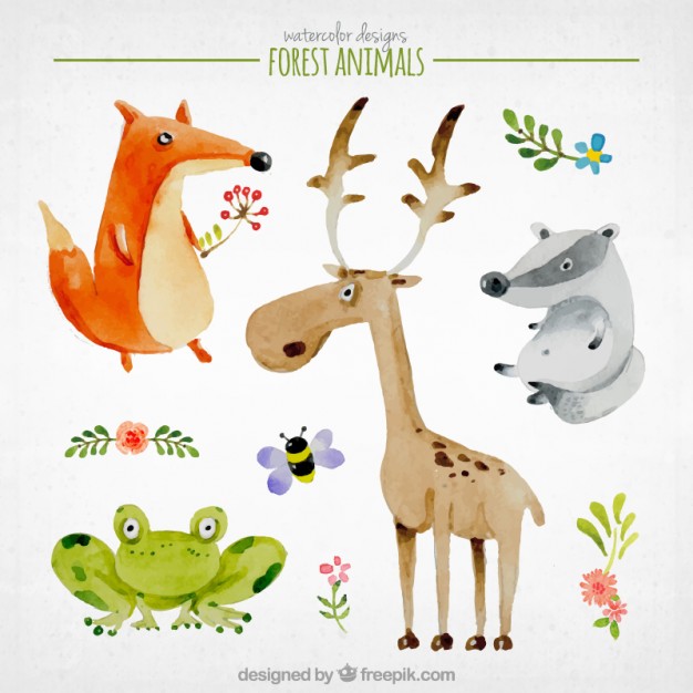 626x626 Watercolor Nice Forest Animals Vector Free Download