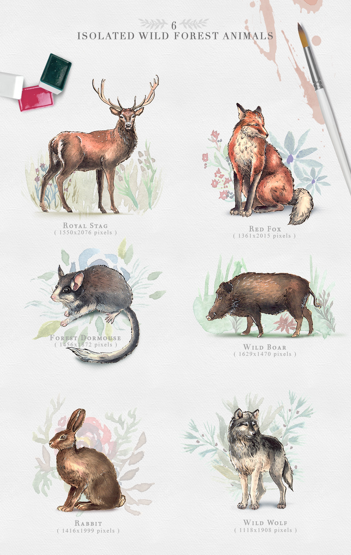 1160x1831 Wild Forest Watercolor Collection In Illustrations On Yellow