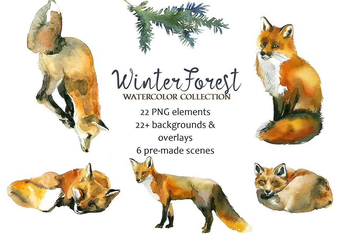 1160x772 Winter Forest Watercolor Clipart