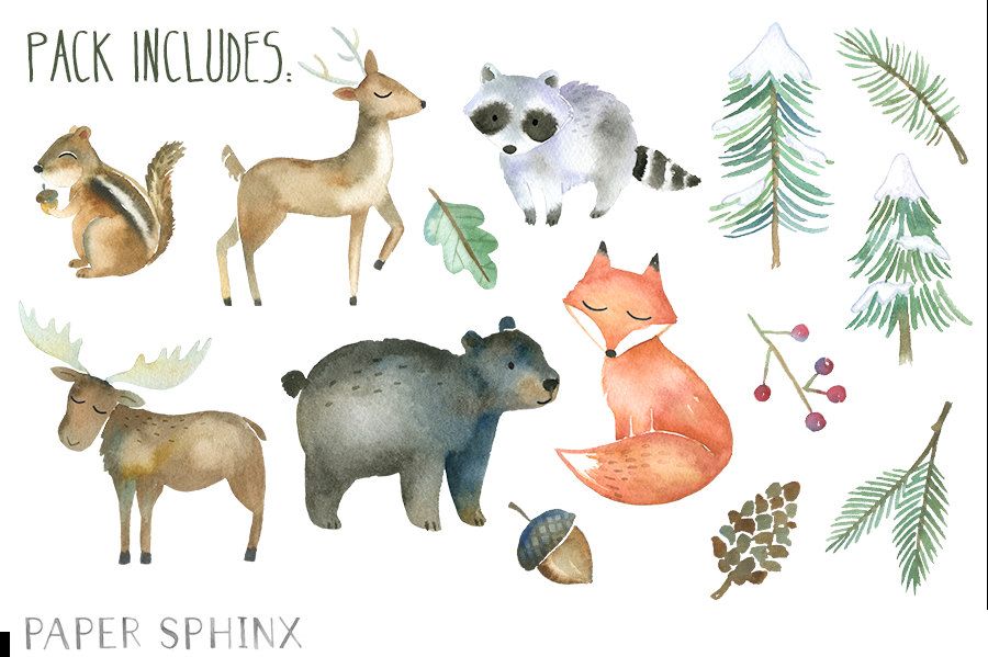 900x599 Winter Woodland Animals Clipart Watercolor Forest Animals