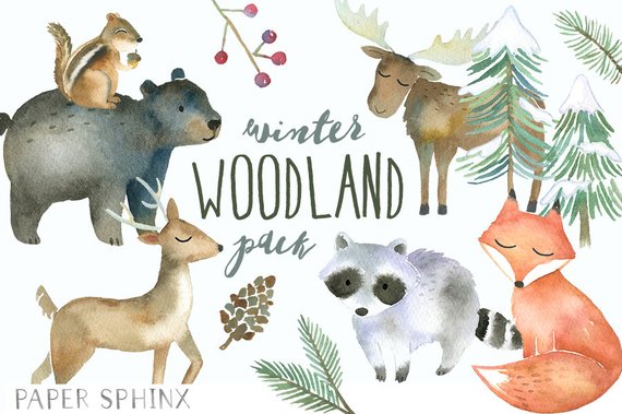 570x379 Winter Woodland Animals Clipart Watercolor Forest Animals Etsy