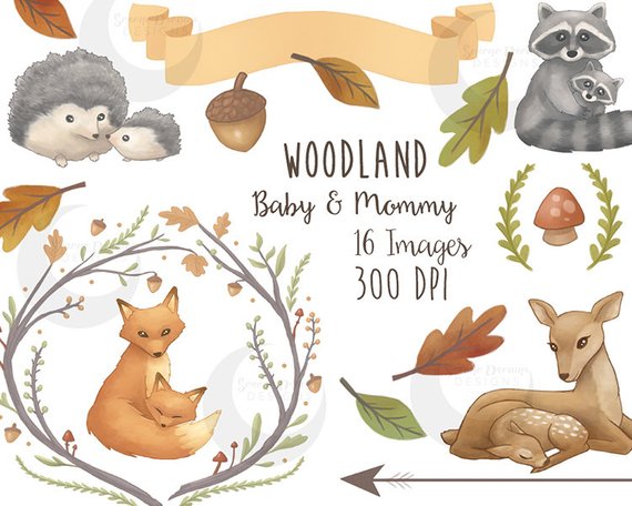 570x456 Woodland Clipart Mommy Amp Baby Forest Animals Cute Nature Etsy