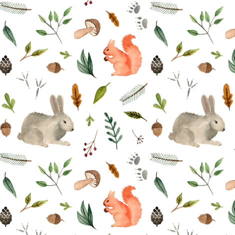 470x470 Watercolor Forest Animals Team