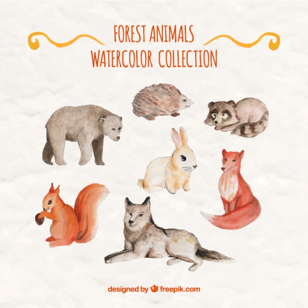 626x626 Beautiful Watercolor Forest Animals Vector Free Download