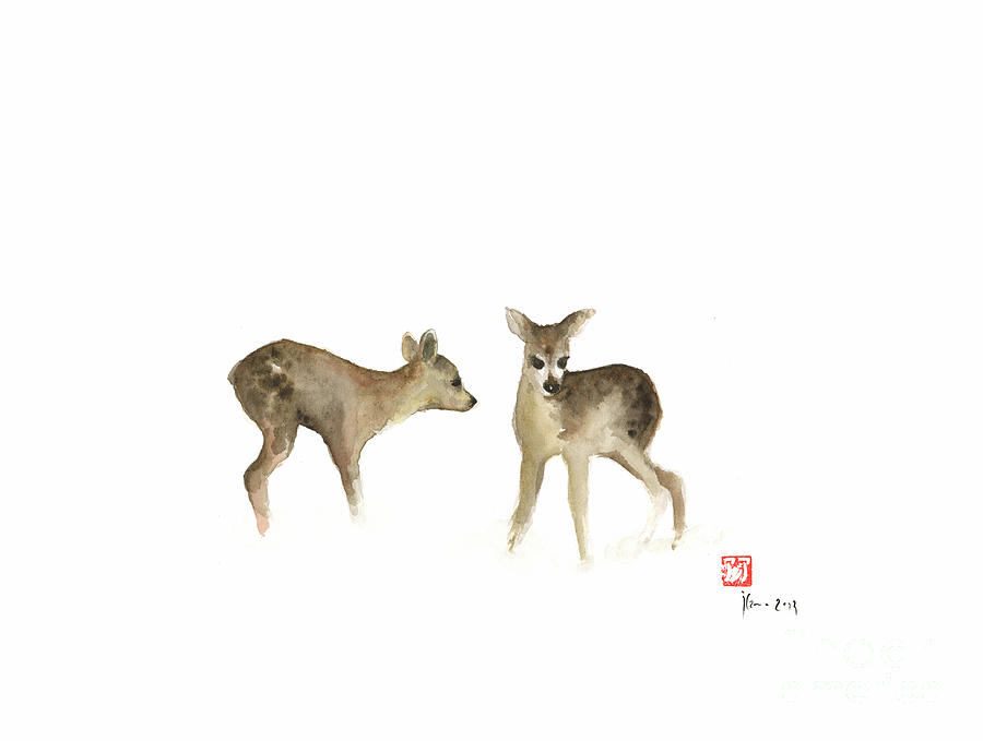 900x679 Deer Nature Brown Colors Earth Animal Animals Pet Pets Forest Wild