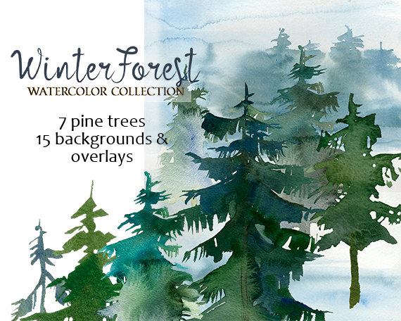 570x456 Pine Trees Watercolor Clipart Fur Trees Png Christmas Winter