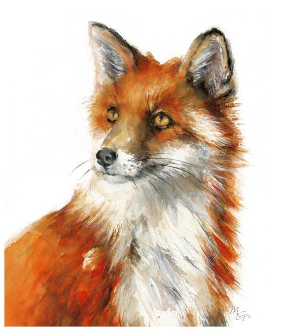 570x670 Fox Watercolor Archival Print Mira Guerquin Watercolors