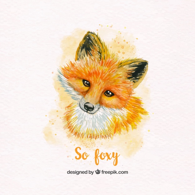 626x626 Lovely Watercolor Fox Vector Free Download