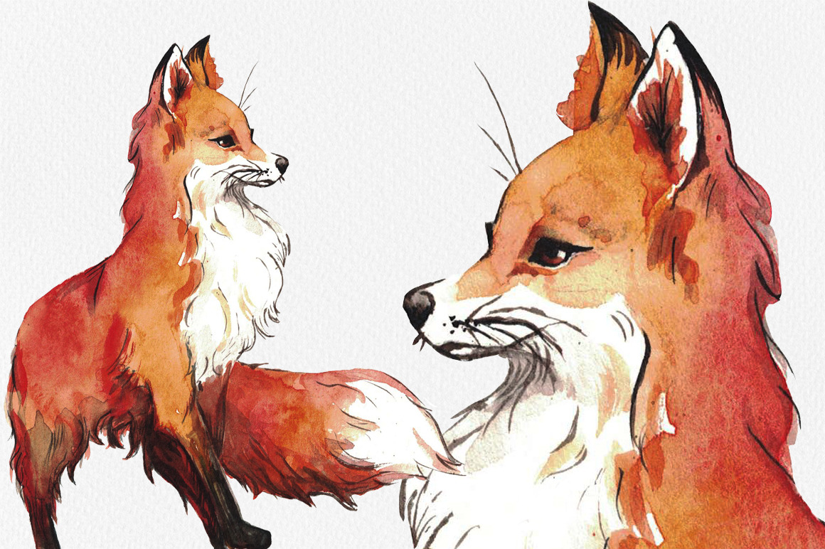 1160x772 Watercolor Fox By Kiraartshop
