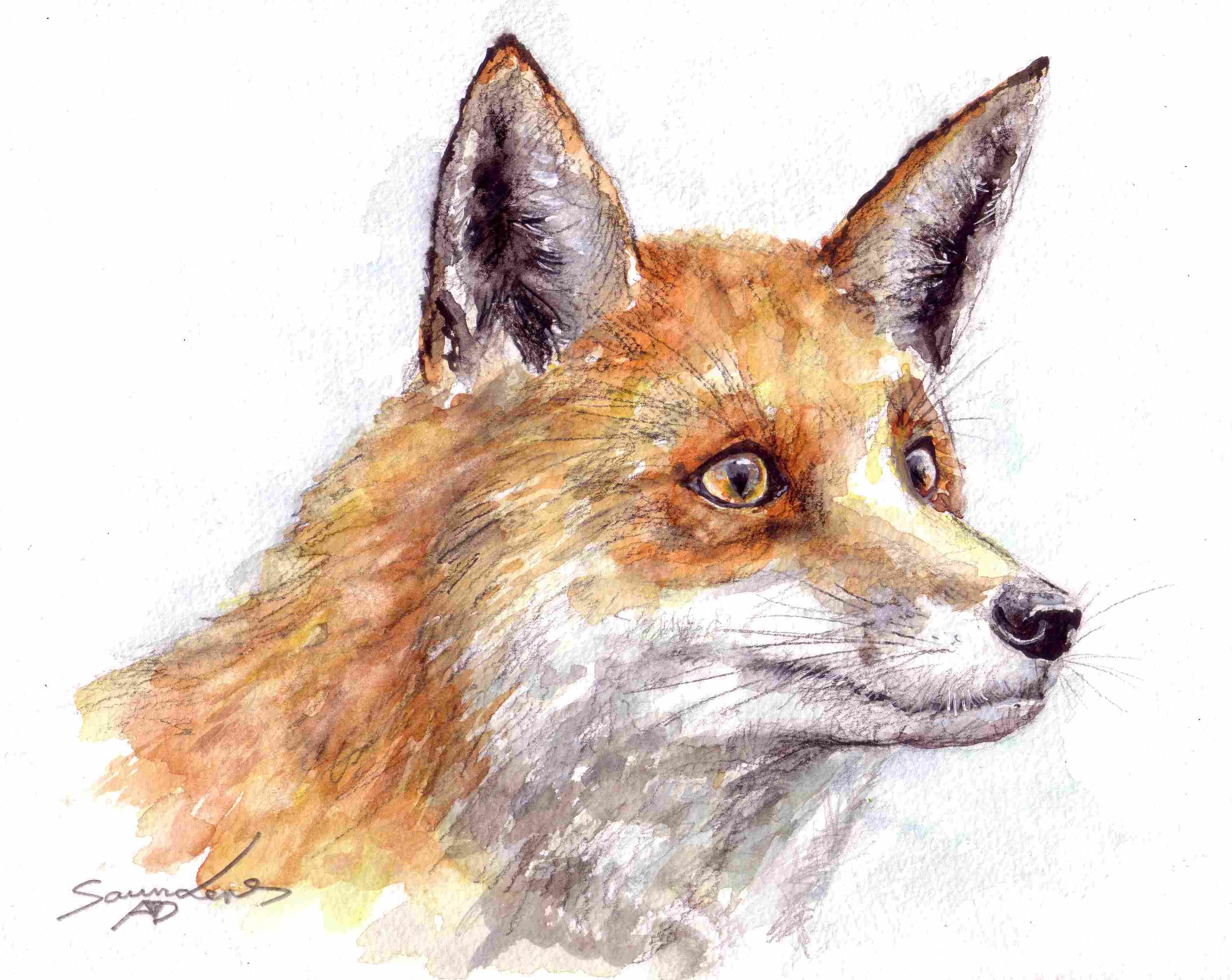 2988x2376 Fox Time Lapse Watercolour Painting