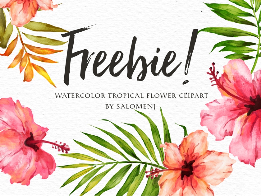 840x630 Watercolor Tropical Flower