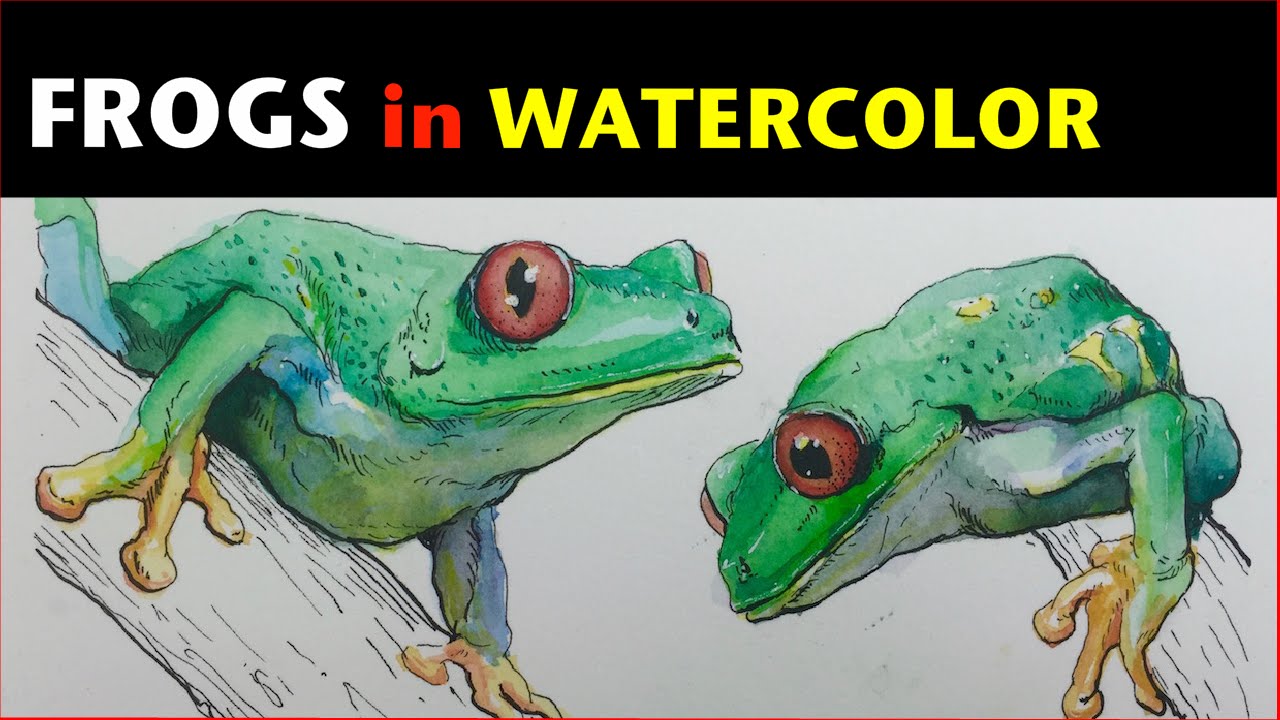 1280x720 Ink Amp Watercolor Study Red Eyed Tree Frog