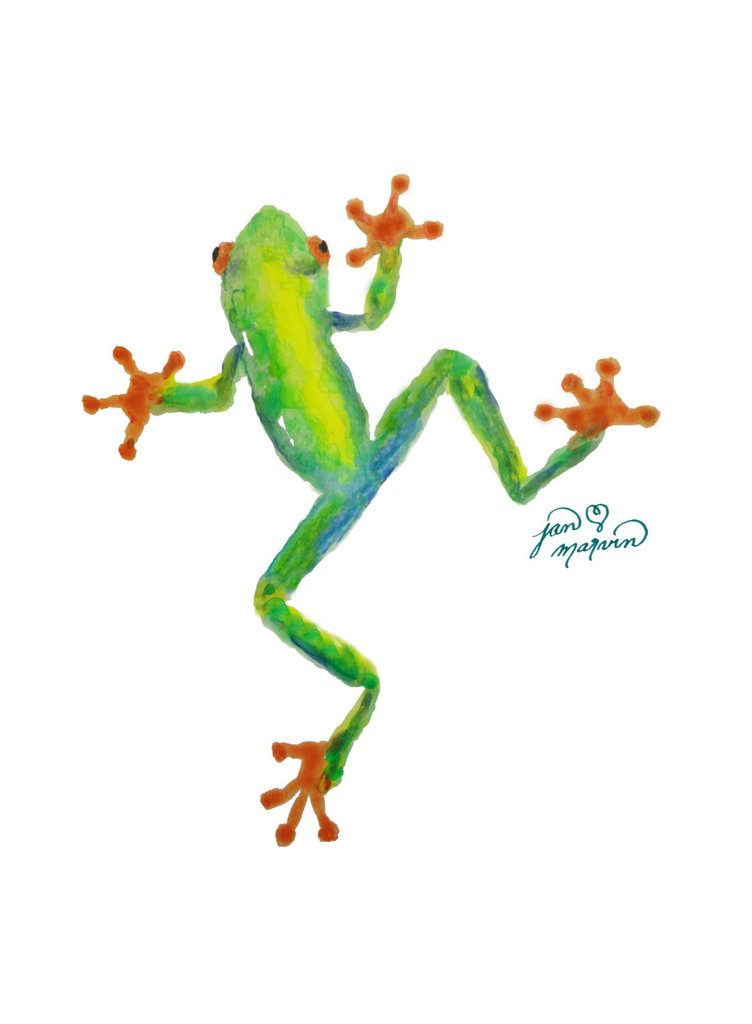 752x1024 Red Eyed Tree Frog Print Of Watercolor Painting Jan Marvin Art