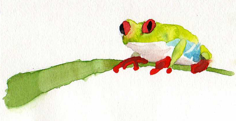 811x416 Watercolor Frog By Blazereaper