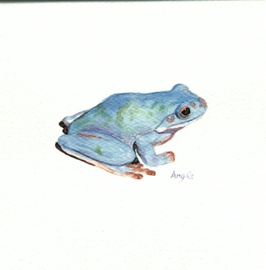 548x555 Watercolor Frog By Flangsedai