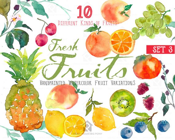 570x456 Fruits Watercolor Clipart Watercolor Fruit Clip Art Etsy