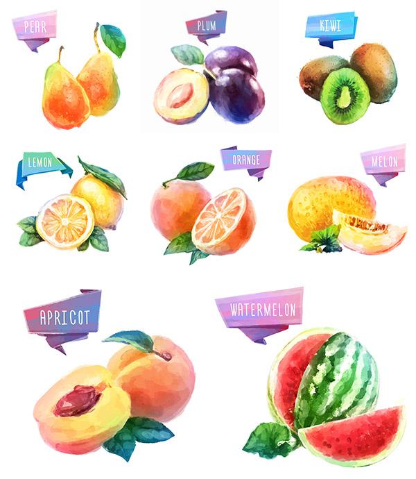 600x690 Watercolor Fruit Design [Ai]