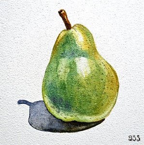 298x300 Watercolor Fruit Paintings Fine Art America