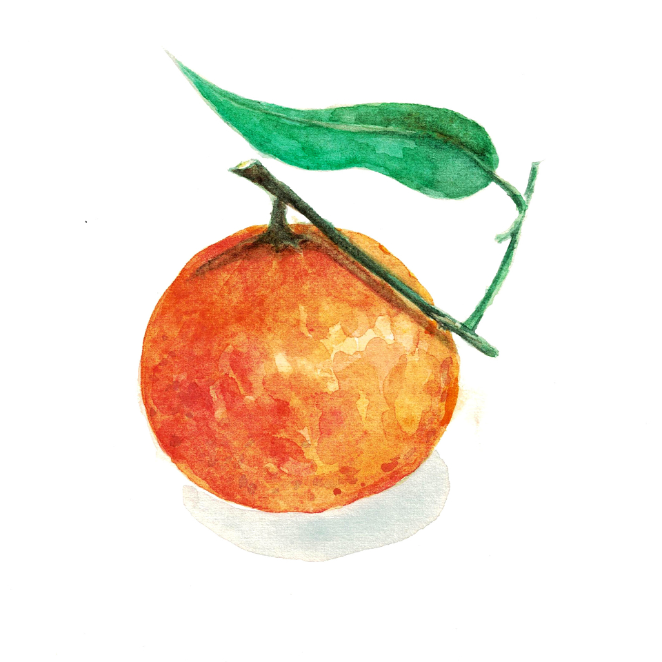 960x960 Watercolor Fruit And Vegetable Project By Tatiana Furlan