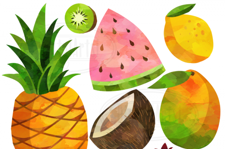 720x479 Watercolor Fruits Clipart By Digitalartsi