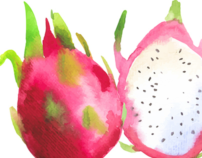 404x316 Watercolor Fruit And Vegetables On Behance