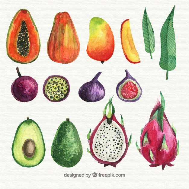 626x626 Watercolor Fruit Set Vector Free Download