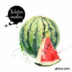 236x236 313 Best Watercolor Fruit Amp Veggies Images In 2018