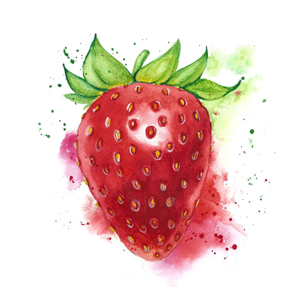 1024x1024 Watercolor Fruits And Vegetables On Behance