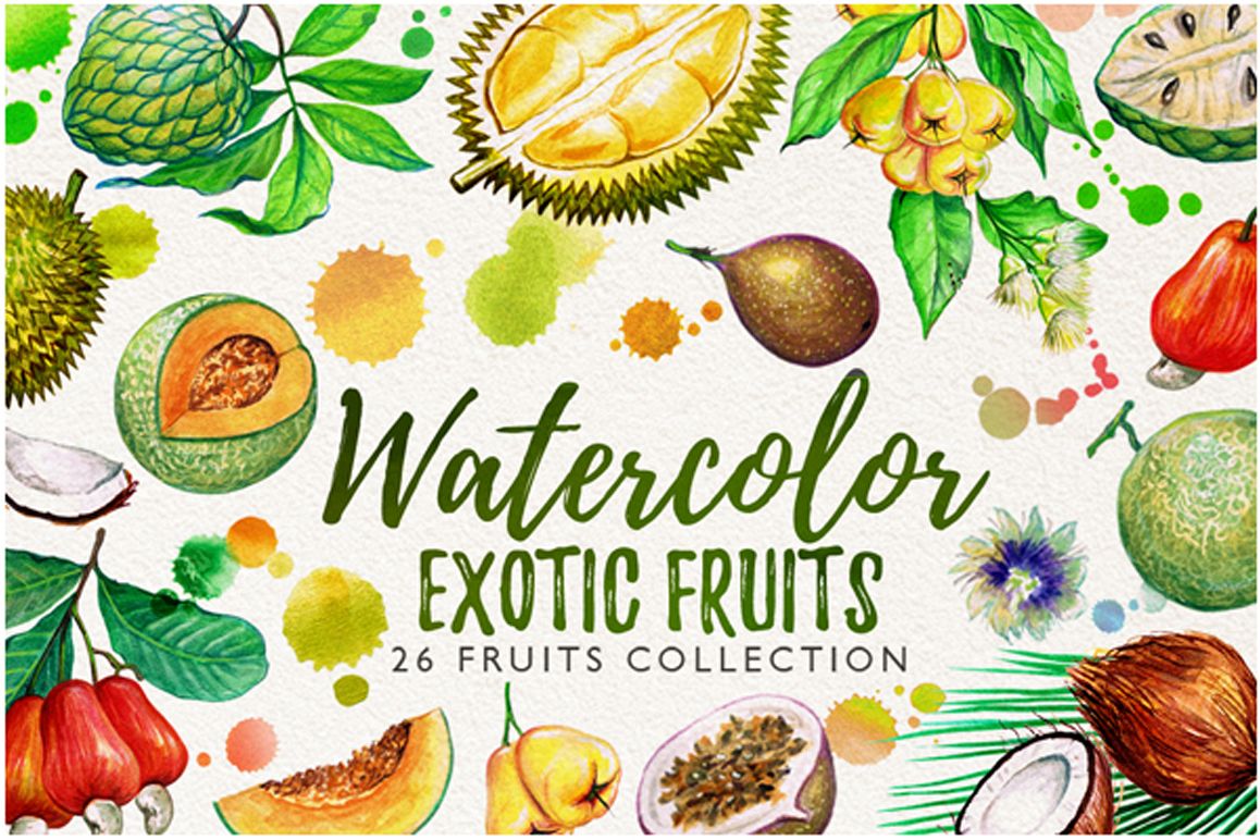1158x772 Watercolor Fruits Vol. 6 By Graphobia Design Bundles