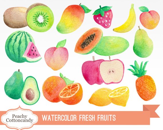 570x453 Buy 2 Get 1 Free Watercolor Fruits Clip Art Water Color Etsy