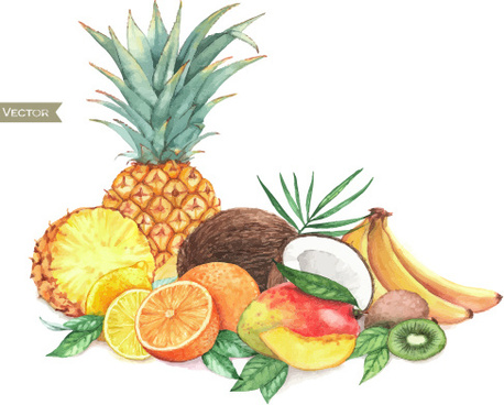 458x368 Fruit Watercolor Vector Free Vector Download (3,053 Free Vector
