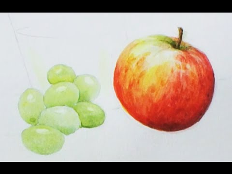 480x360 Part 2 Up Close Amp Detailed Still Life. Pro Watercolour Tutorial 4