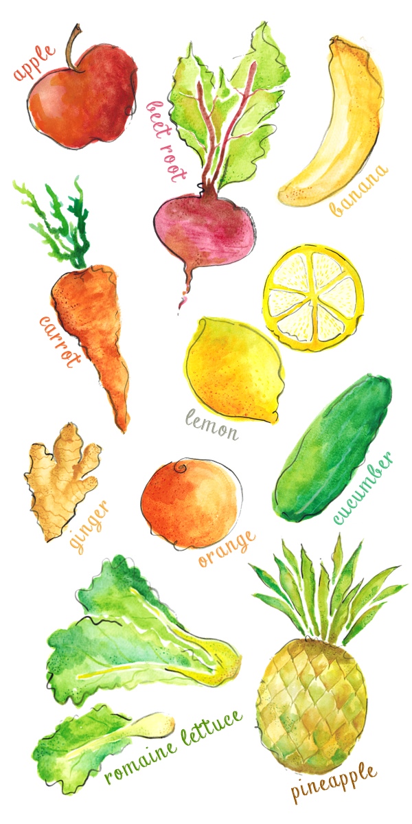 600x1200 Lettuce Clipart Fruits And Vegetable