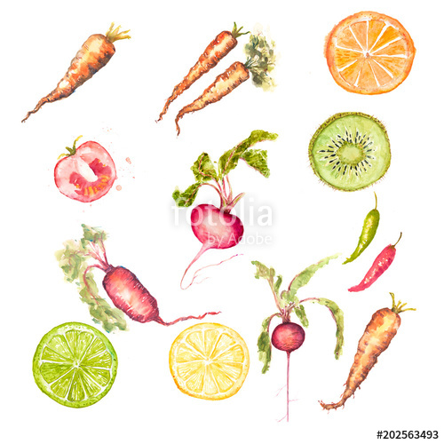 500x500 Set Of Watercolor Fruit And Vegetable On White Stock Photo And