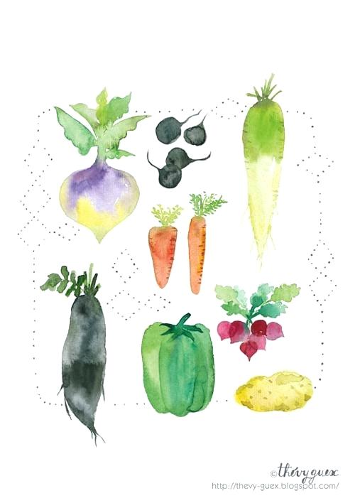 500x708 Watercolor Vegetable Watercolor Fruits And Vegetables