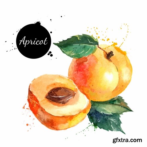 500x500 Watercolor Vegetables And Fruit Creative Atr 25xeps Gfxtra