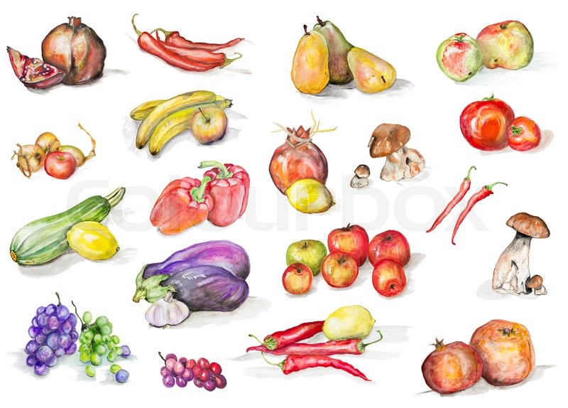 800x574 Fruits, Mushrooms And Vegetables Isolated Set Handmade Watercolor