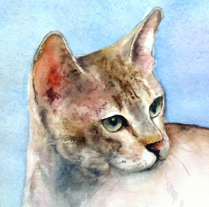 800x791 April 2012 Class Fur Cats And Dogs And Maybe More!