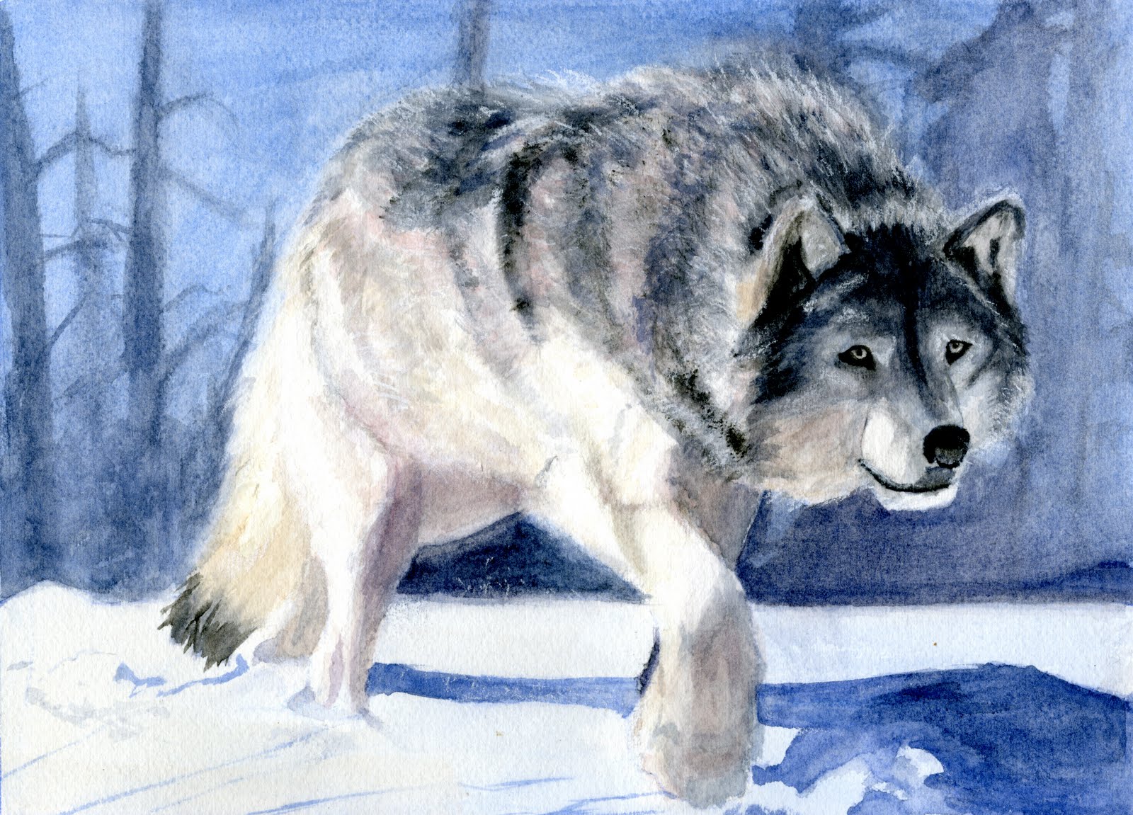 1600x1151 Eds Art Blog Wolf Watercolor