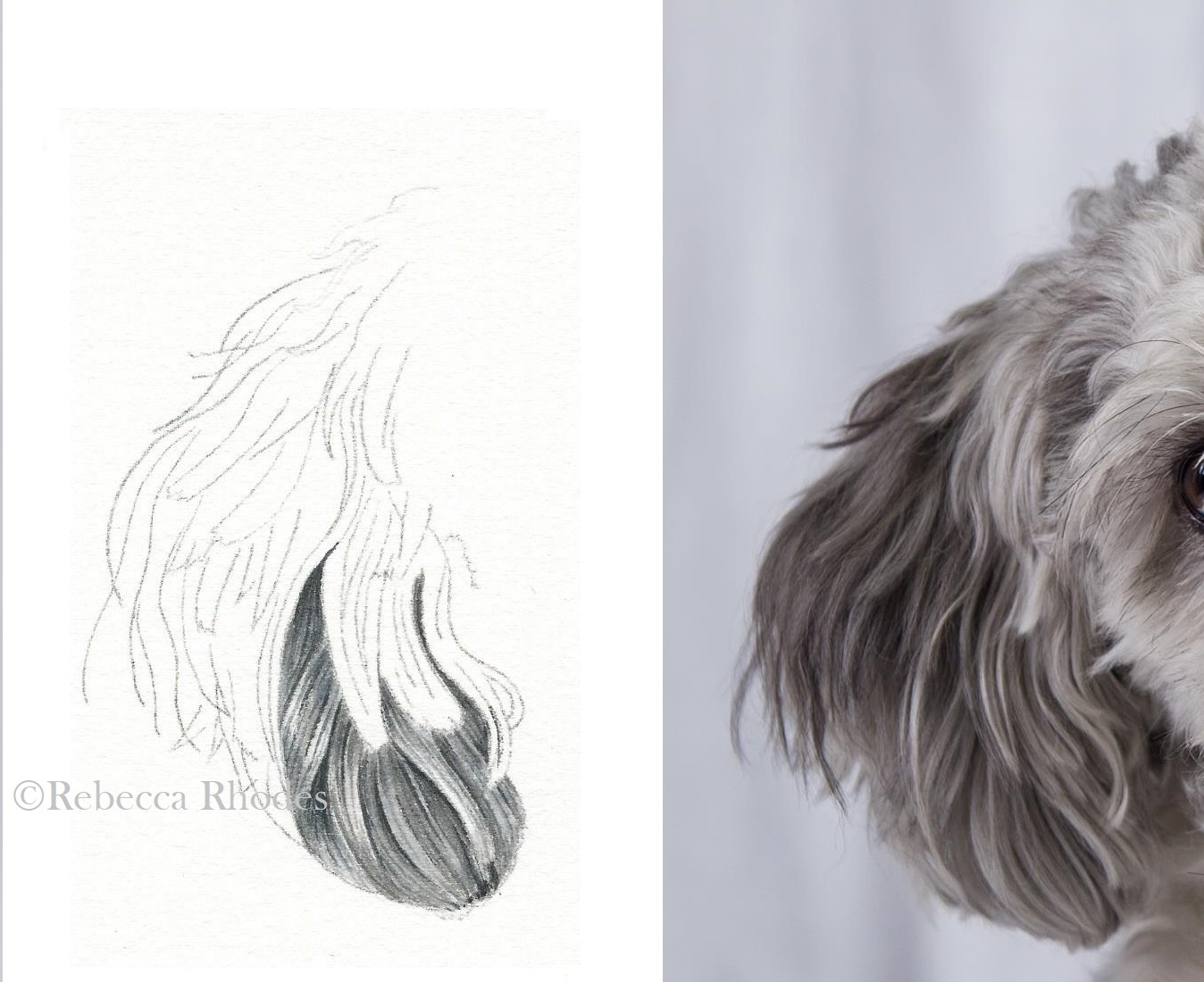 1348x1100 How To Create Complex Fur Patterns In Watercolor, Part 1